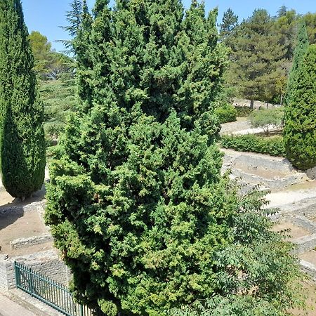 Grande Terrasse Et Vue Sur Le Site Antique Lejlighed Vaison-la-Romaine Eksteriør billede