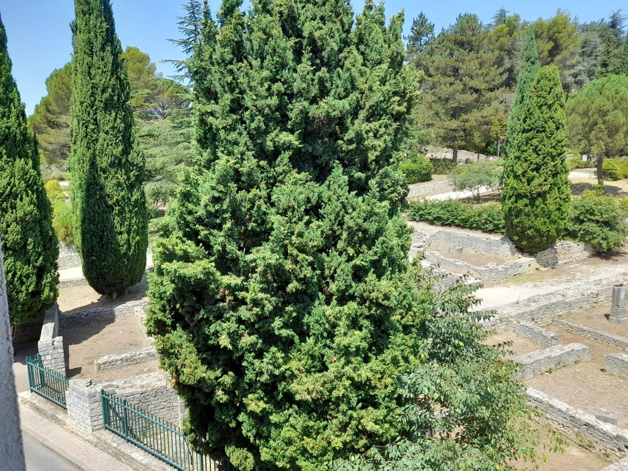 Grande Terrasse Et Vue Sur Le Site Antique Lejlighed Vaison-la-Romaine Eksteriør billede